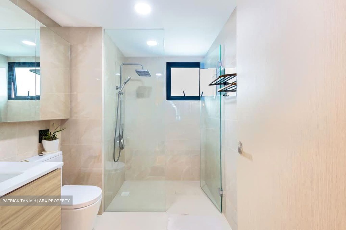 Treasure at Tampines (D18), Condominium #602023881